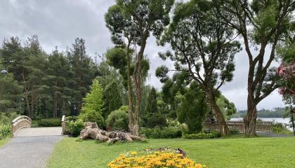 Arboretumin istutuksia, puita ja kävelysilta.