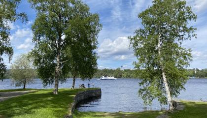 Hatanpään kartanon rantamaisemaa Pyhäjärvelle päin.