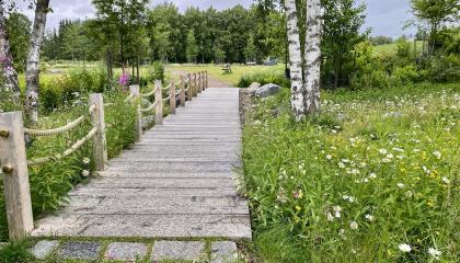 K. J. Gauffinin puiston puusilta.