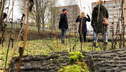 Kolme henkilö seisoo puistoalueella maassa makaavan lahopuun takana.