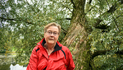 Henkilö istuu puunrungolla. Taustalla puun oksat.