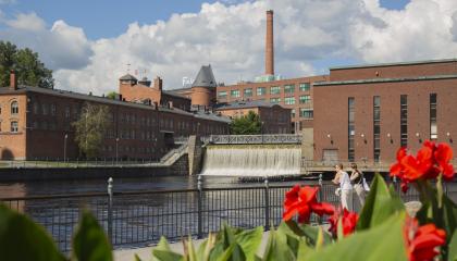 Tammerkosken vesiputous ja tehdasrakennuksia, etualalla punaisia kukkia.