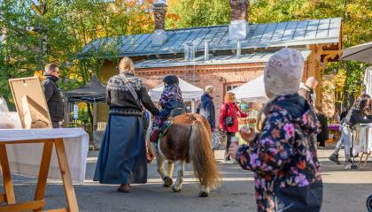 Poniajelua Tallipihalla.