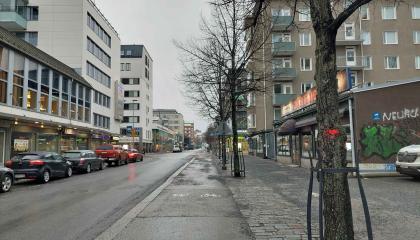 Poistettavia puita Puutarhakadulla 2025.