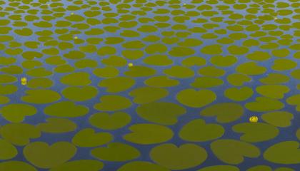 Detail of a painting in which grass-green linden leaves fill the entire surface of the sea, becoming smaller and smaller until they reach the horizon. The leaves are interspersed with sparse yellow snowdrops, under which the dark blue water glistens.