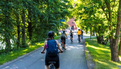 Pyöräilijöitä ajamassa selkä kohti kameraa vihreän metsän reunustamalla tiellä.