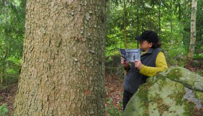 Kulttuuriluotsi Riitta Vesanto lukee Parhaat paikat -esitetta mielipaikassaan.