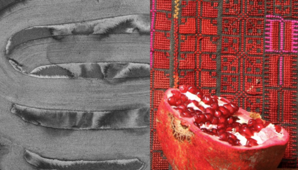 Harmaasävyinen mustepiirros, jonka vieressä kuva halkaistusta granaattiomenasta jonka taustalla punainen kangas.