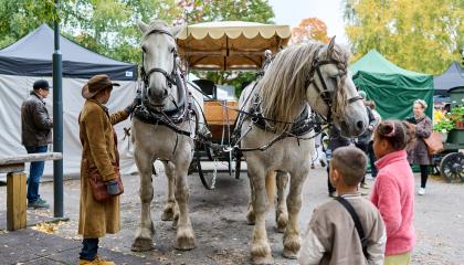 Kaksi lasta katsovat, kun hevostenhoitaja silittää hevosta.