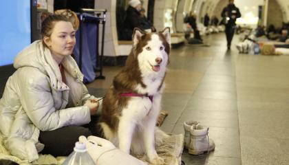 Tyttö istuu maassa metrotunnelissa takki päällä, vieressä valpas koira.