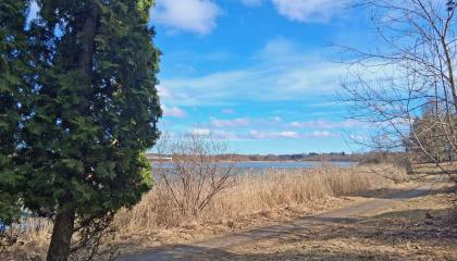 Iidesjärven rantareittiä maaliskuussa, etualalla tuija.