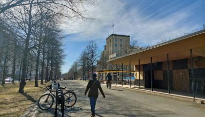 Kävelijä ja pyöräilijä Hämeenpuiston puistokäytävällä.