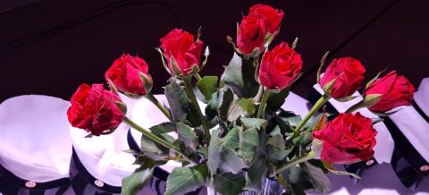 Hatanpään lukio ylioppilas 5