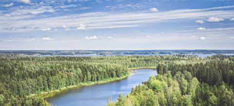 Näkymä Kauppi-Niihaman metsään ja Niihamanjärvelle