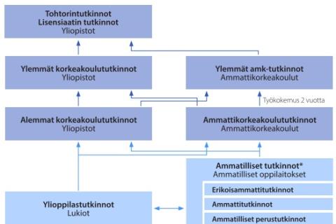 Kaavio kuvaa opintomahdollisuuksia ylioppilastutkinnon suorittamisen jälkeen.
