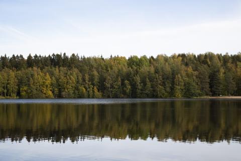Järveen heijastuu metsämaisema.