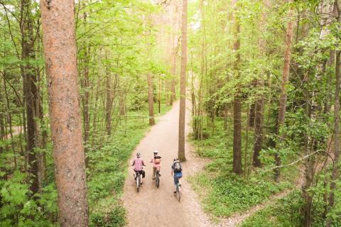 Pyhä-Näsi wooded cycle route and people cycling.