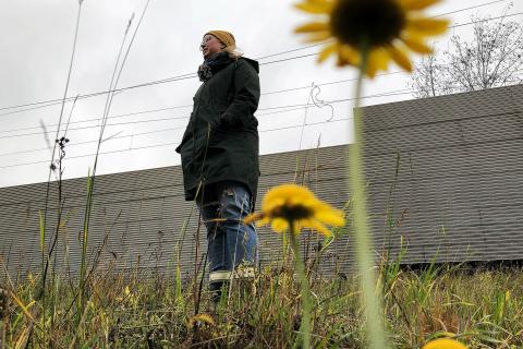 Henkilö seisoo niityllä keltaisten kukkien vieressä.