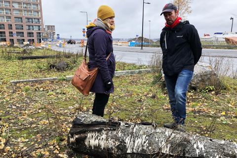 Kaksi henkilöä seisoo puistoalueella ja ihmettelee maapuuta.