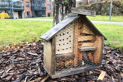 Hyönteishotelli maassa.