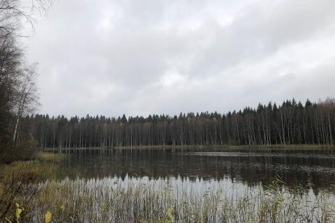 Syksyinen harmaa järvimaisema.