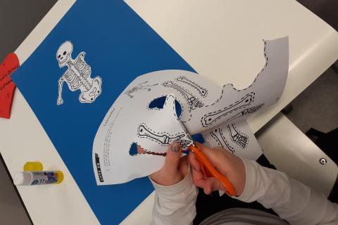 Luurangon leikkaaminen paperista