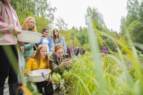 Students are studying nature outside.
