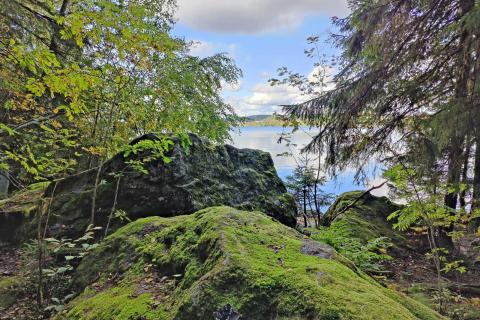 Kivikkoa Pyhäjärven rannalla, Härmälän luontopolulla.