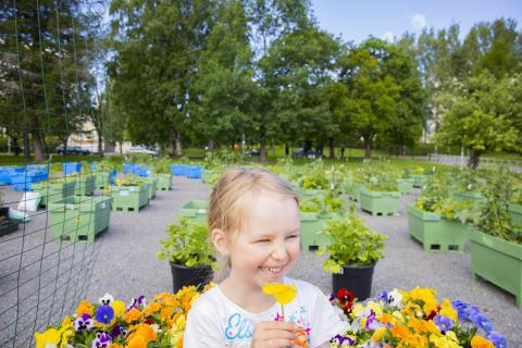 Anna Pyökkilehto's child Elena in the community garden in front of the growing boxes