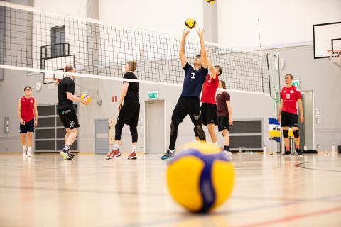 Lentopallon pelaamista, jossa yksi pelaaja osuu juuri palloon.