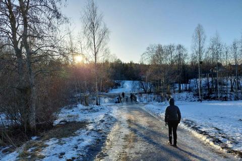 Muotialan itäinen puusilta