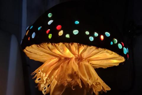 Sisältäpäin valaistu sieniveistos