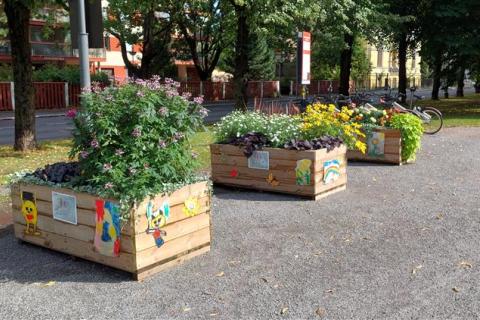 Flower beds in Hämeenpuisto, with colorful drawings on the sides.