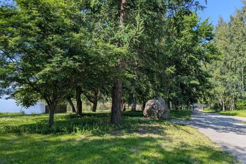 Vihilahdenpuiston metsikköä ja muistokivi.