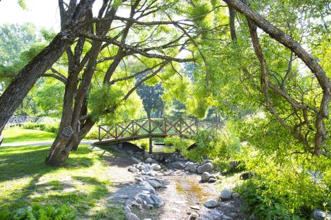 Puusilta ja puro Hatampään arboretumissa.