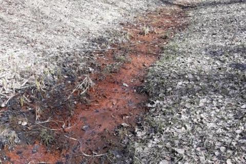 Rautapitoista vettä ojassa.