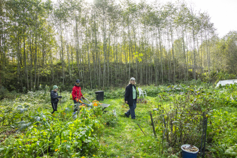 Two adults and a child working in community garden.