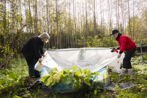 Two people spread plastic sheet to collect rainwater.