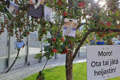 Heijastimia roikkumassa heijastinpuussa Laikunlavan vieressä.