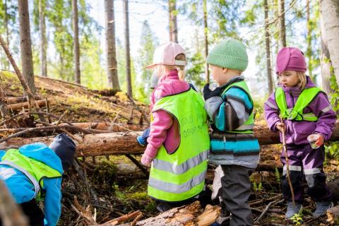Children playing in the woods by a tree trunk.