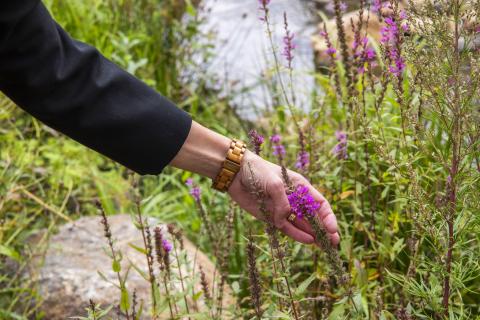 Pink flower that an expert is lifting with her hand.