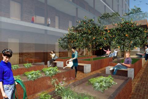 The image shows the wall of an apartment block and a courtyard with plants.