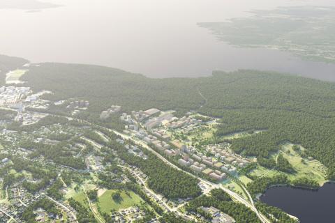 Houses, forest and lake.