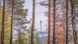 Näsinneula näkyy mäntyjen ja koivujen runkojen välistä korkealta.